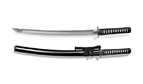 Cold Steel Warrior Series Wakizashi Sword 88BWW