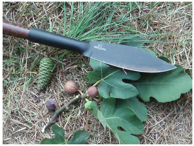 Cold Steel Bowie Blade Bushman 6