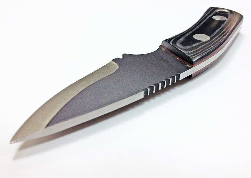 Pro Tool Praesidio Compact Custom 5