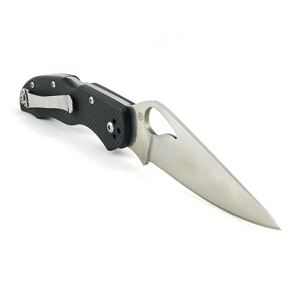 Spyderco Byrd Harrier 2 Lockback 4