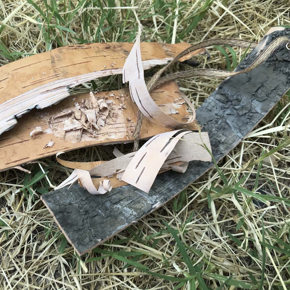 Fire starter - birch bark 2