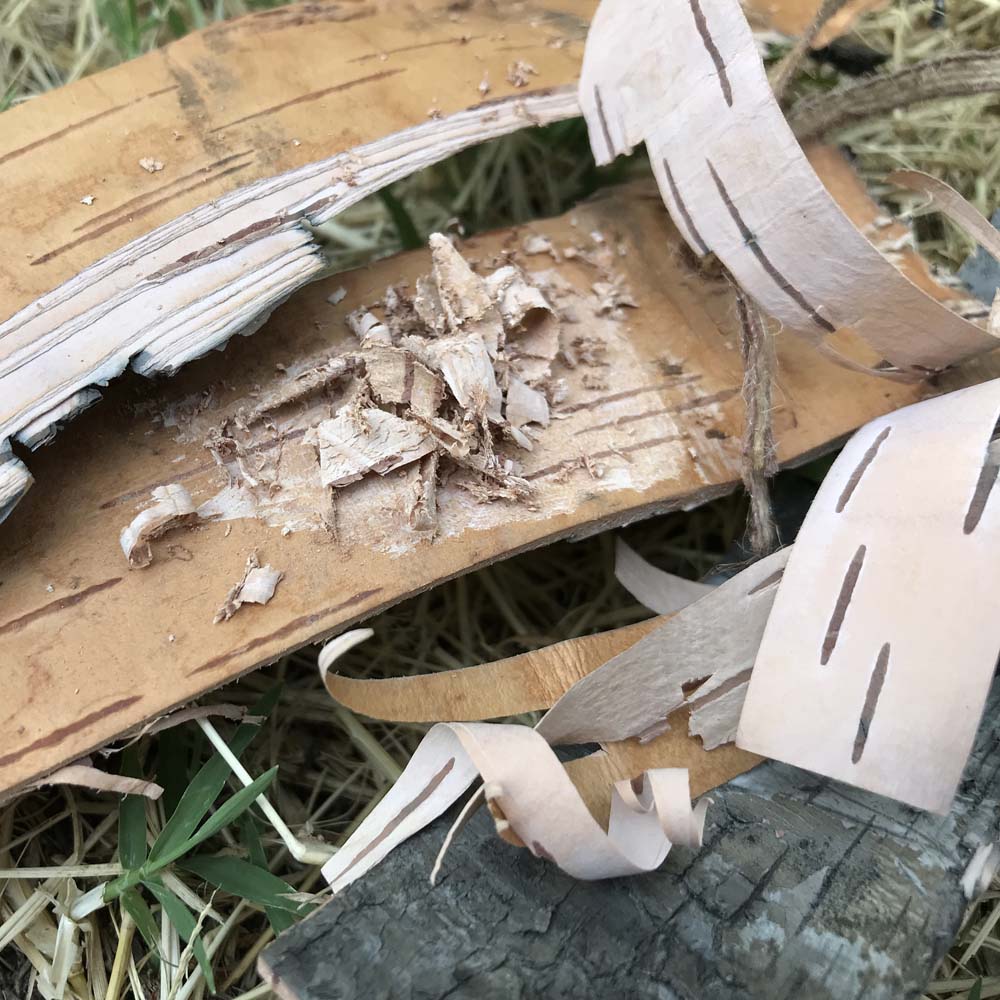 Fire starter - birch bark 3