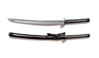 Cold Steel Warrior Chisa Katana Sword 88BCK