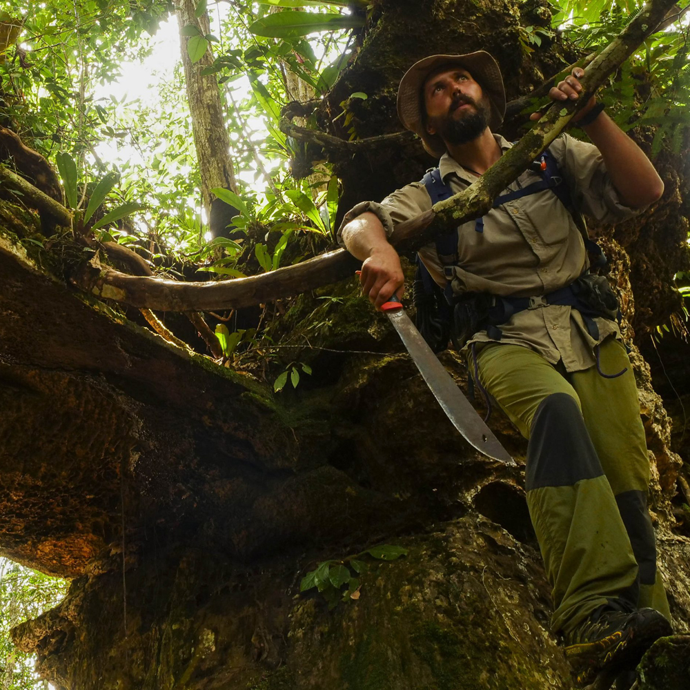 The Embrace of Amazonia 2