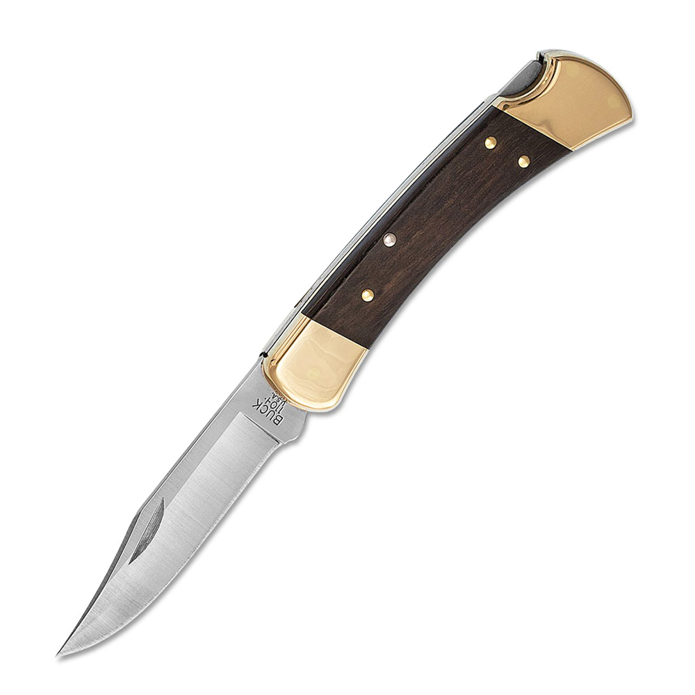 Buck 110 Folding Hunter 1