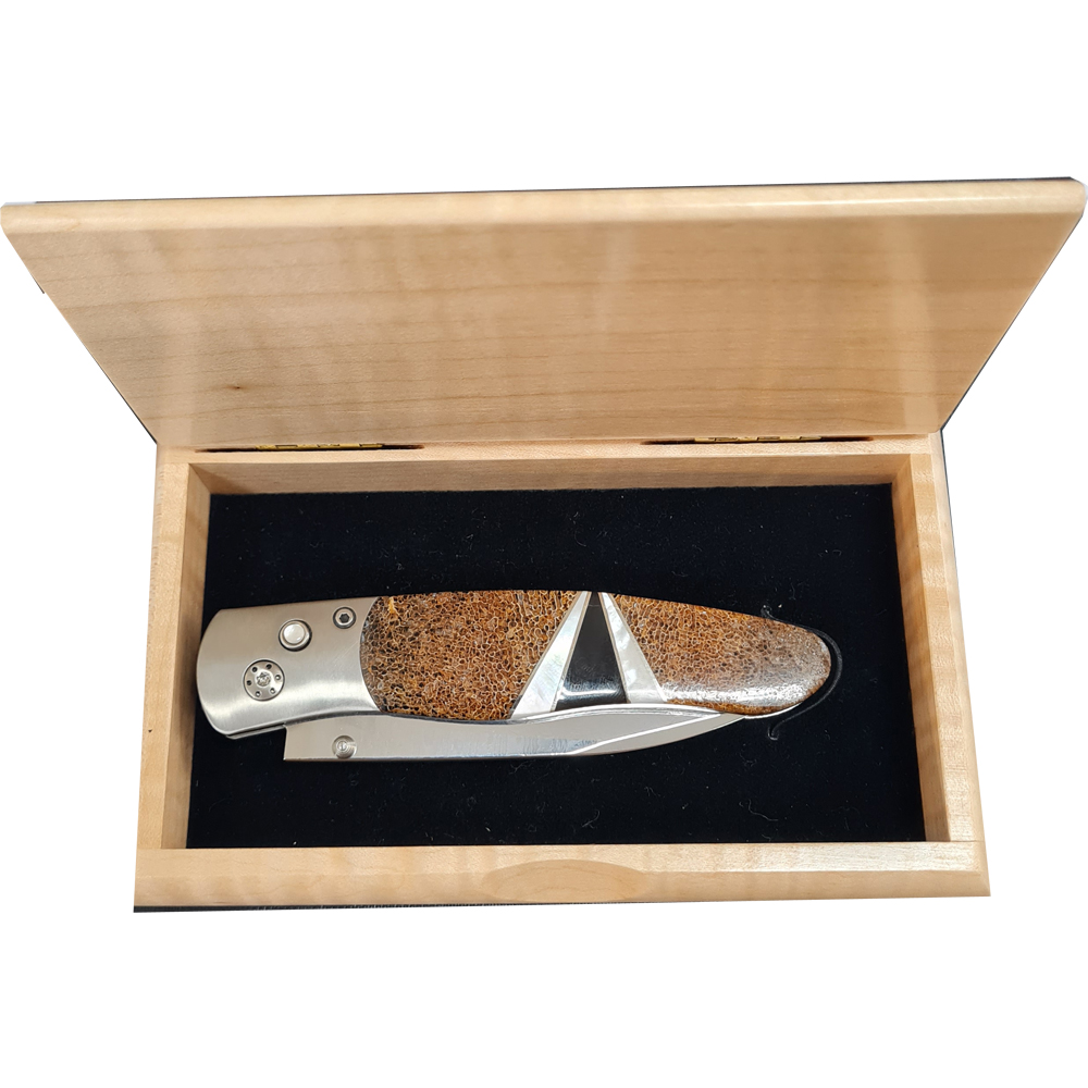 Santa Fe Stoneworks DMB02 - Mammoth Bone (Bone) - Damask 4