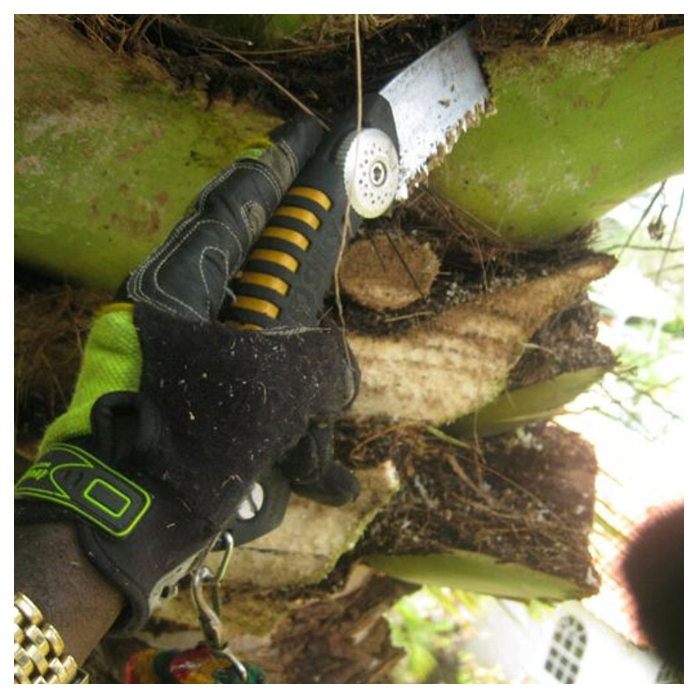 SILKY SUGOI 420 ARBORIST HAND SAW 4