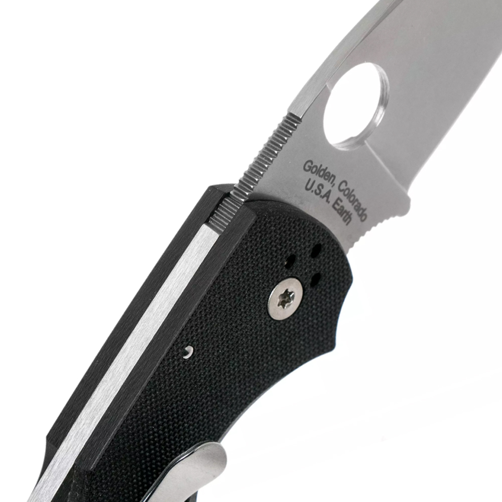 Spyderco C41GP5 Native 5 6