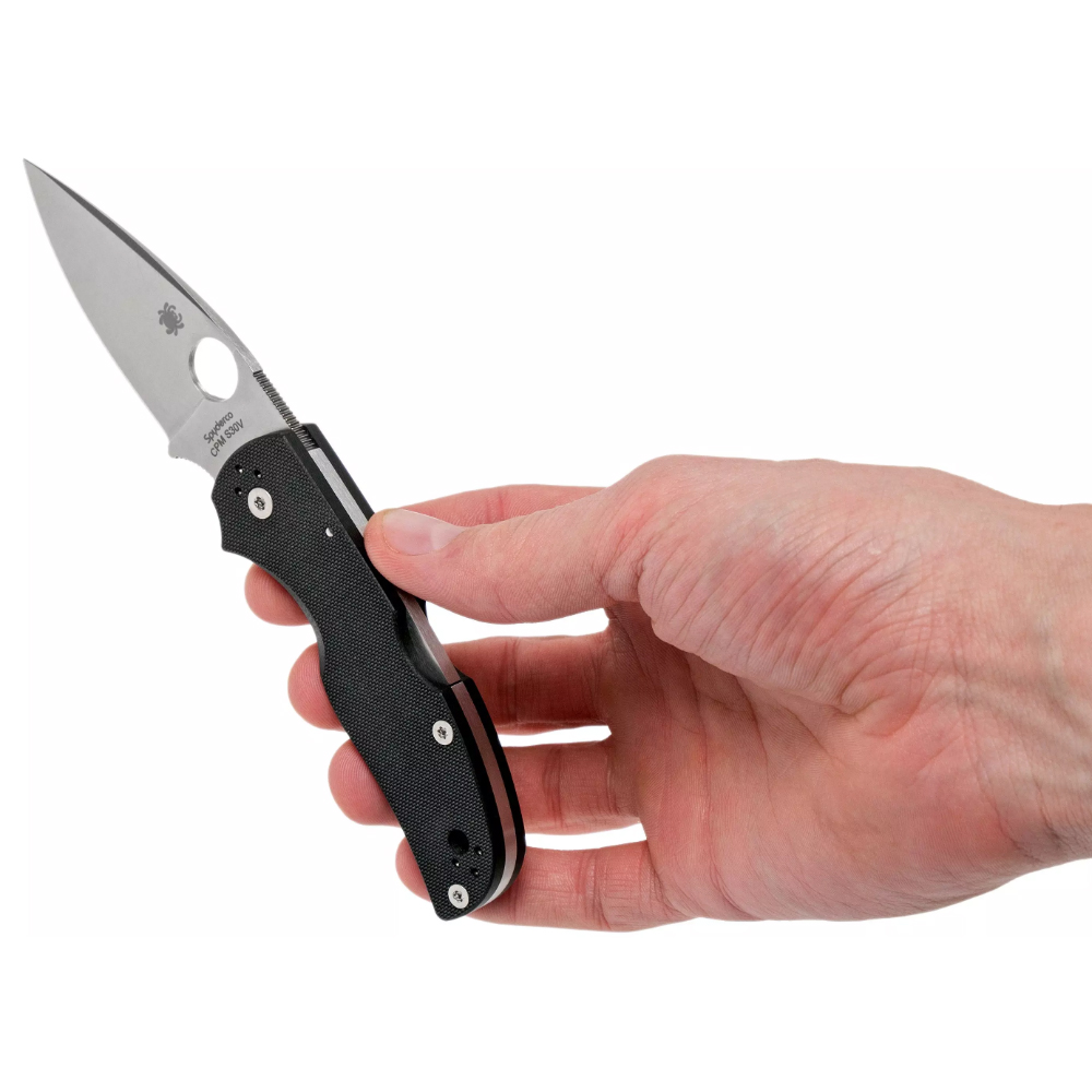 Spyderco C41GP5 Native 5 8