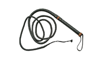 Pakistan Bull Whip