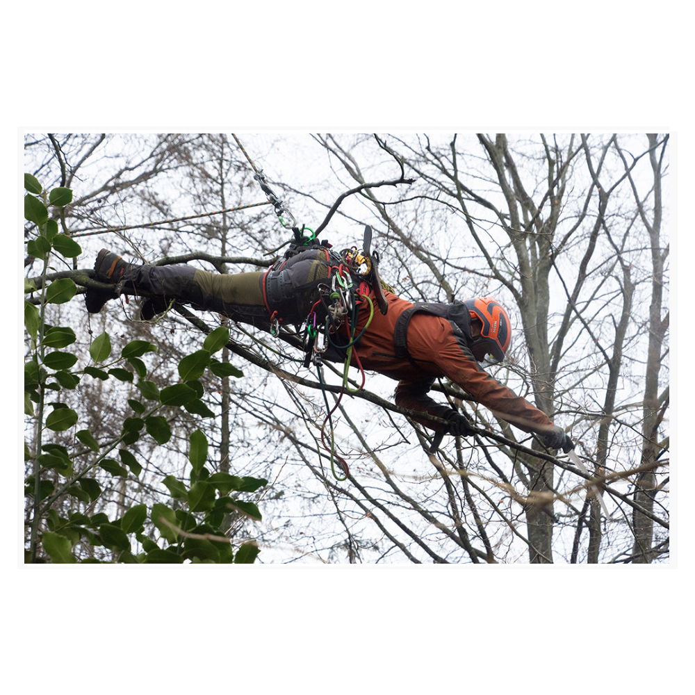 Silky Zubat Ultimate 330-7.5-6.5 Saw 4