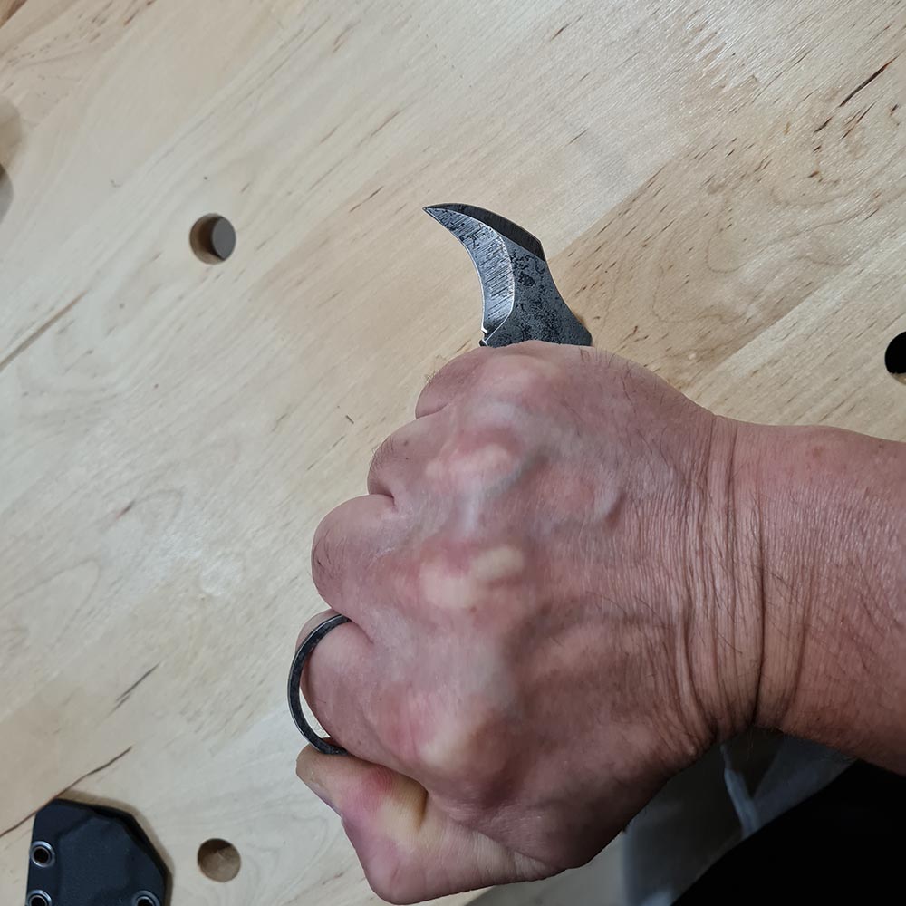 Working Blades Karambit CK67 6