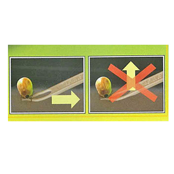 Plastic Tick Remover Clip Tick 2 3